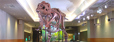 Blast From the Past: Field Museum Case Study