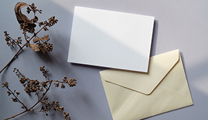 The Sharp Way to Print: From Envelopes to Everyday Excellence