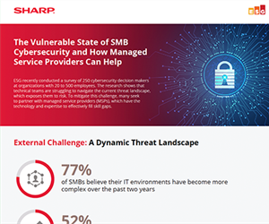 The Vulnerable State of SMB Cybersecurity and How Managed Service Providers Can Help