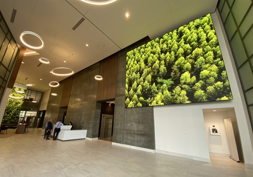 Absorbing Video Walls for Lobbies