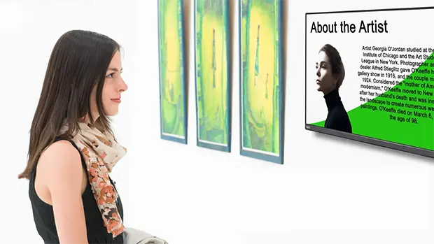 Desktop display video screen capture