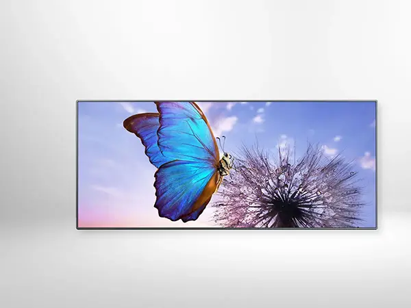 FE Series Direct View LED