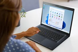 Laptop and a monitor stand