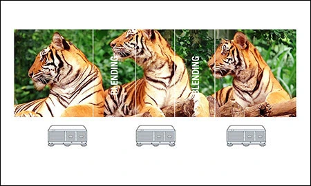 3 projectors displaying tigers on 3 screens